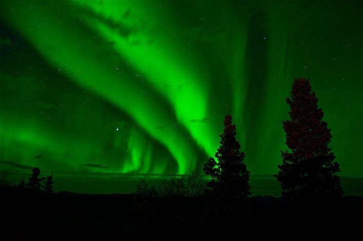 aurora with forest in foreground