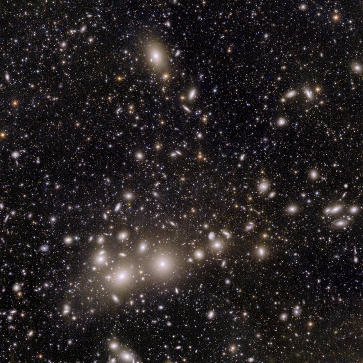 One of the first images captured by Euclid shows the Perseus cluster, a group of thousands of galaxies located 240 million light-years from Earth. The closest galaxies appear as swirling structures while hundreds of thousands of background galaxies are visible only as points of light. 
