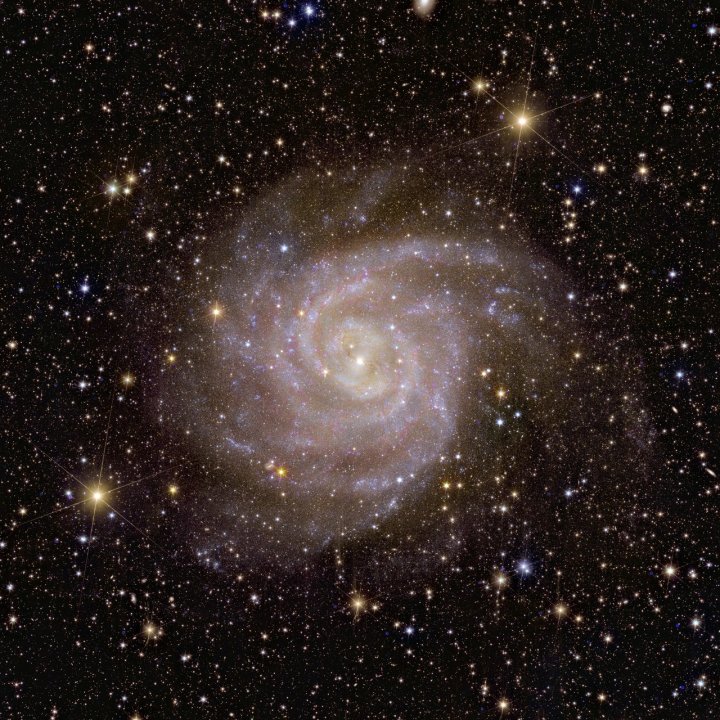 The spiral galaxy IC 342, located about 11 million light-years from Earth, lies behind the crowded plane of the Milky Way: Dust, gas, and stars obscure it from our view. Euclid used its near-infrared instrument to peer through the dust and study it.